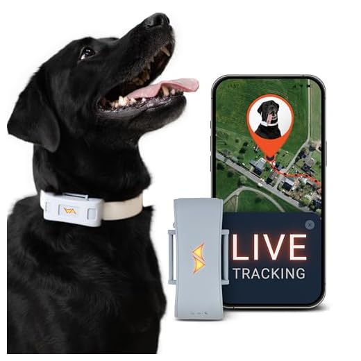 PAJ GPS Tracker für Hunde 4G
