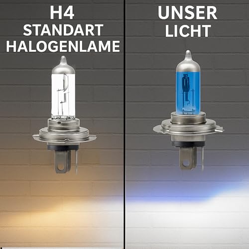 Light Galaxy ... Ihr Lichtlieferant H4 12V 60/55W P43t Halogenlampe Auto Scheinwerfer 2er Set