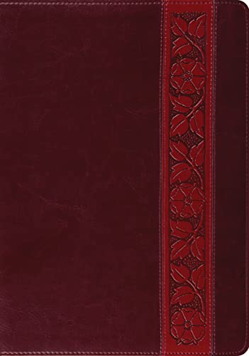 Esv Study Bible