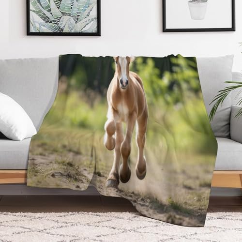 Couvertures moelleuses imprimé cheval pour soirées cocooning