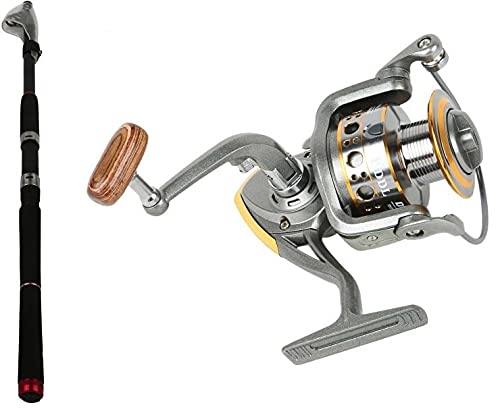 Fddl Fishing Reel - Mf254 with Fishing Rod - Mf248: Buy Online at Best Price in Egypt