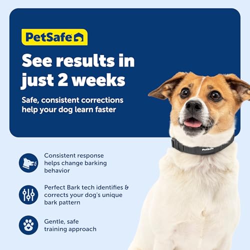 PetSafe NanoBark Collar in use