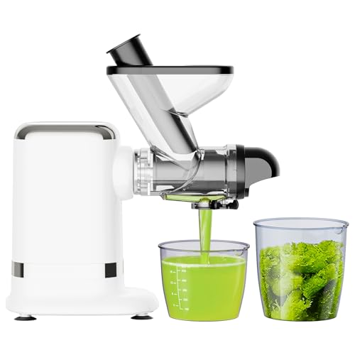 Image of GVODE Electric Cold Press Juicer, Masticating Juicer with Dual Feed Chute