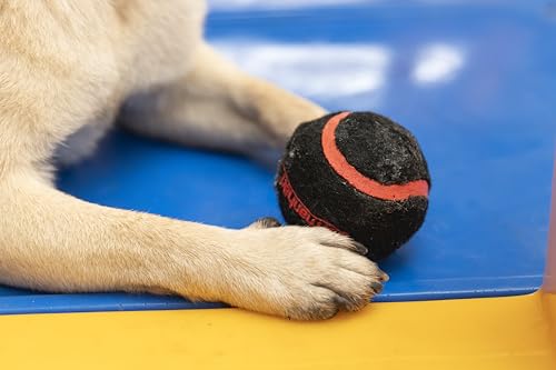 Germanhart Bolinha de Tênis para Cães, 2 un, Média (6 cm), Preta