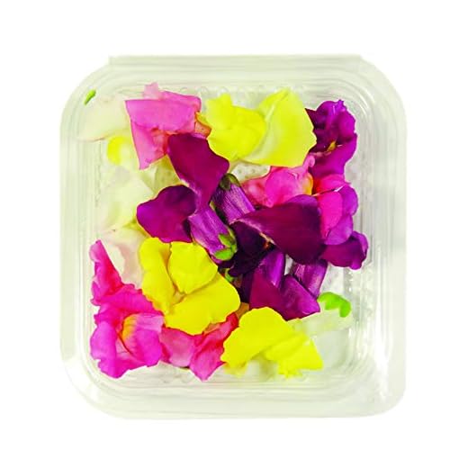 Fiori Commestibili BIOLOGICI - 15 fiori di BOCCA DI LEONE di COLORI ROSA, FUCSIA, VIOLA e GIALLO in vaschetta alimentare di 10 cm x 10 cm x 2 cm - Coltivati in Toscana dall'azienda agricola Carmazzi