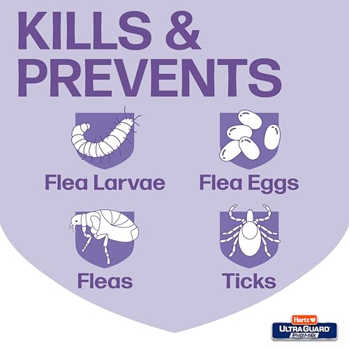 Hartz UltraGuard ProMax Flea & Tick Collar for Cats I 14 Months Protection I Soft & Comfortable | Flea & Tick Prevention I 2 Pack - Image 4