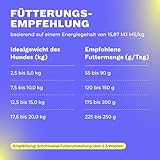 HEY HOLY Premium Trockenfutter für Minis 100% getreidefrei | 7kg Hundefutter für ausgewachsene Minis mit Forelle | Hochverträglich aus natürlichen Zutaten