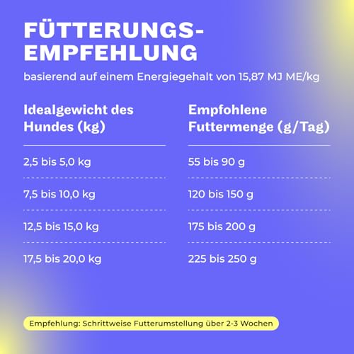 HEY HOLY Premium Trockenfutter für Minis 100% getreidefrei | 7kg Hundefutter für ausgewachsene Minis mit Forelle | Hochverträglich aus natürlichen Zutaten