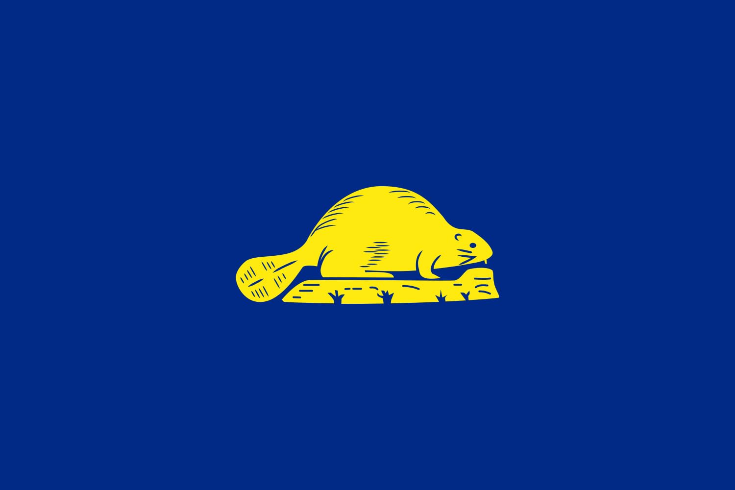 Drapeau Oregon envers grand format résistant à la décoloration