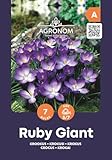 AGRONOM Tested in the garden