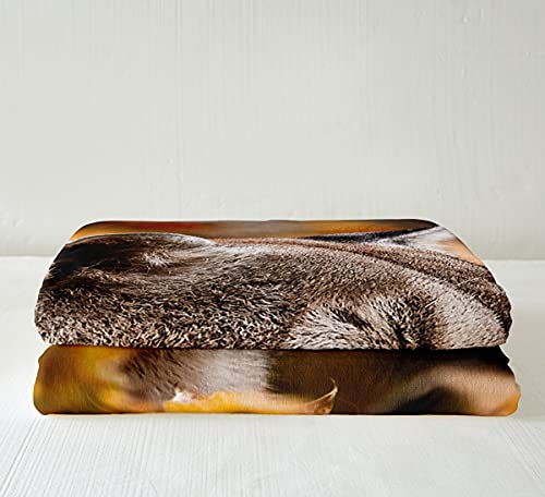 Lion Duvet Cover 3D Safari Animal Blanket American Wild Cat Throw Blanket For Boys Girls Children Teens Room Decor Cougar Fleece Blanket Autumn Twin 60"X80" Sherpa Blanket #TOP4