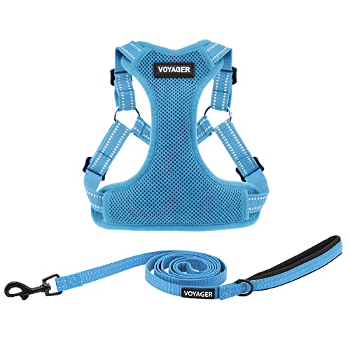 Best Pet Supplies Voyager Adjustable Dog Harness Leash Set with Reflective Stripes for Walking Heavy-Duty Full Body No Pull Vest with Leash D-Ring, Breathable All-Weather - Baby Blue, XS by Best Pet Supplies - Used condition - CA$18.63