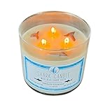 Mermaid of Hilton Head Shark Tooth Candle - Eucalyptus Mint