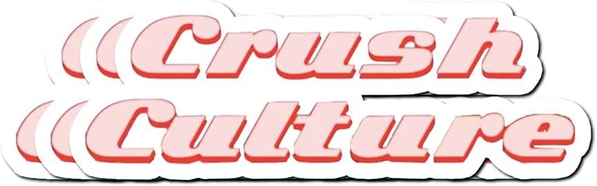 WillettaStore Conan Gray Crush Culture Stickers (3 Pcs/Pack)