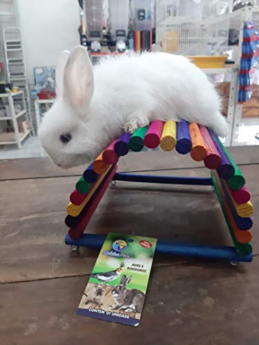 Toca Casinha Para Mini Coelho