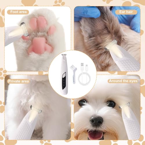 Pfotentrimmer für Hunde mit LED-Licht, Leise Hundepfoten Trimmer Paw Trim Pro dr Pfoten für Hunde und Katze, USB Wiederaufladbar Hundeschermaschine für Pfoten, Augen, Ohren, Gesicht (Weiß)