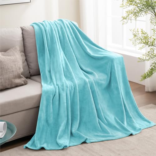 Image of BEDELITE Fleece Blanket Light Blue Throw Blankets for Couch & Bed, Luxury Plush Cozy Fuzzy Blanket 50 inch x 60 inch, Super Soft Warm Lightweight Throw Blanket for Travel Camping