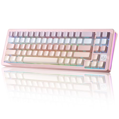 YUNZII AL71 68% Mechanical Keyboard, Full Aluminum CNC, Hot Swappable Gasket, 2.4GHz Wireless BT5.0/USB-C Wired Gaming Keyboard,