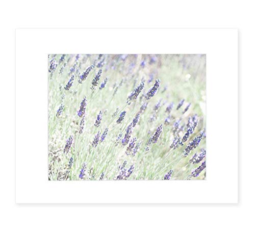 Purple Botanical Wall Art, Rustic Floral Farmhouse Decor, Wild Flower Picture, 8x10 Matted Photographic Print, (Fits 11x14 Frame) ‘Lavender for LaLa’