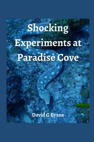 Shocking Experience at Paradise Cove