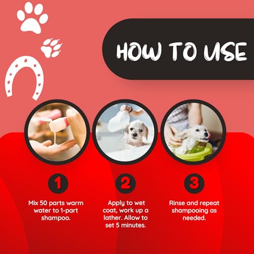 Kelco by Laube Deep Cleaning Pet Shampoo - Filthy Animal Odor Eliminating Powerful Cleansing Shampoo - Natural, Hypoallergenic Formula for Grooming Dogs, Cats, and Pets (50:1 Concentrated, 1 Gallon) - Image 4
