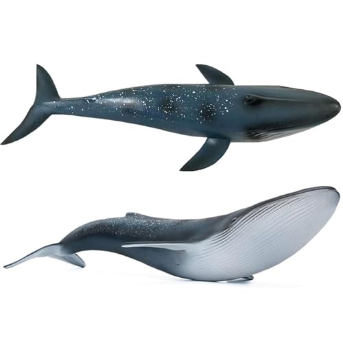 LOVNBHELP 10 Inch Realistic Blue Whale Figurine, Solid Ocean Marine Animal Figure, Detailed Sea Creature Model, Educational Wildlife Learning Toy, Gift for Kids Toddlers Boys Girls 10"