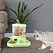 Convenient Pet Feeding Station for Cats and Dogs, Green