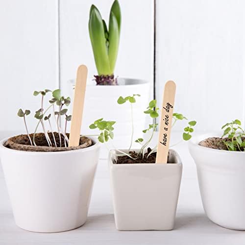 KINGLAKE 100Pcs Wooden Plant Labels with Pen, 15x1.6cm Wooden Garden Markers Tags Jumbo Natural Wood Sticks for Herb Seed Vegetable Flowers