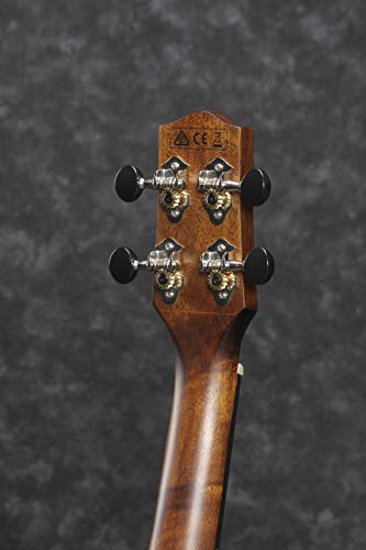 Ibanez UEW13MEE-DBO UEW Series Ukulélé électro-acoustique 4 cordes Marron foncé - Les Beatles, Paul McCartney, John Lennon, RIngo Starr, George Harrison Ibanez UEW13MEE-DBO UEW Series Ukulélé électro-acoustique 4 cordes Marron foncé – Image 5