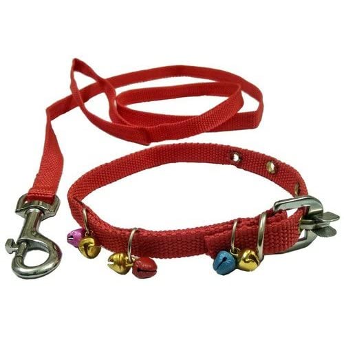 Senapati X Small Belt Coller Full of Ghungroo for Sweet Little Puppy (Red) (B0B6STCPLK) Amazon Price History, Amazon Price Tracker