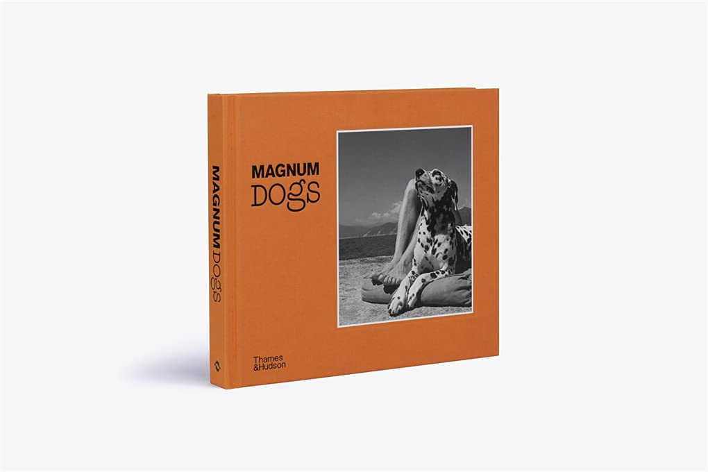 Magnum Dogs