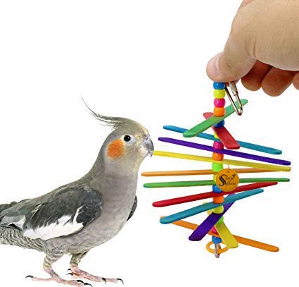 See full amazon price history chart for Sage Square Playful Natural Wood Sticks Hanging Toy Cage Accessories for Cockatiel, Lovebird, Budgerigar, Canary, Budgeri Birds Sage Square Playful Natural Wood Sticks Hanging Toy Cage Accessories for Cockatiel, Lovebird, Budgerigar, Canary, Budgeri Birds (B07ZHHK773) Amazon Price History, Amazon Price Tracker