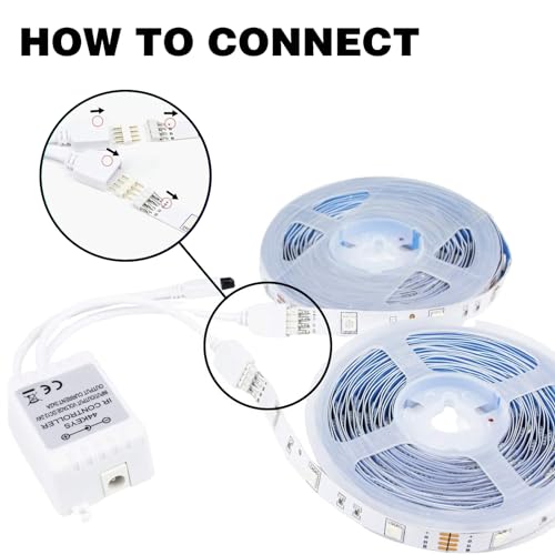 Dual Output RGB Remote Controller for 5050/3528 LED Strips with Wireless Receiver