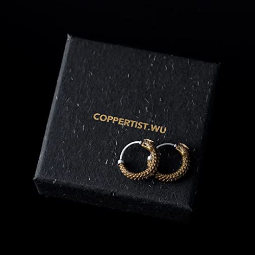 Coppertist.wu Ouroboros Earrings,Snake Huggie Hoop Earrings Hypoallergenic Earrings For Women Men Girls,Pair #TOP7