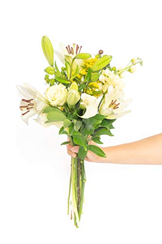 Greenchoice Flowers Superbe Bouquet - Fresh Cut Flowers, Flower Bouquet, Fresh Flowers for Delivery, Birthday Flowers