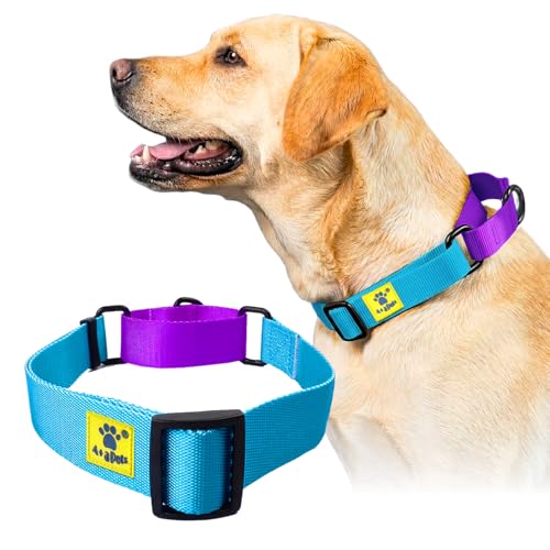 Image of A+a Pets Martingale Dog Collar | No Pull Design,No Neck Strain,No Choke Design | for Large & Medium Dogs | Rust Free,Waterproof Nylon Training Collar (Light Blue & Purple),20 x 2.5 cm