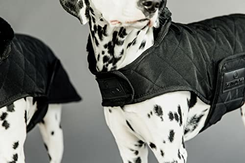 Kentucky - Hundemantel - Schwarz - Dackel - 40cm