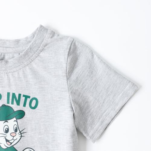 Image of HILEELANG Toddler Boy Summer Outfit Set 2 Piece Short Sleeve T Shirt and Short Soft Breathable Cotton Clothing Sets 2-7T