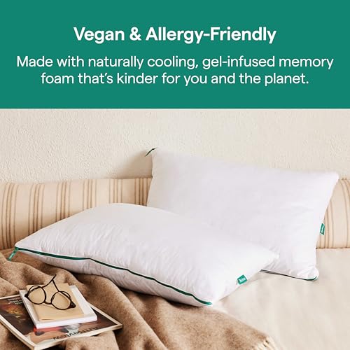 DE BESTE VERSTELBARE TRAAGSCHUIM BEDKUSSEN VOOR NEK- EN RUGSTEUN VOOR ZIJ-, RUG- EN BUIKSLAPERS - STANDAARD/QUEENSIZE