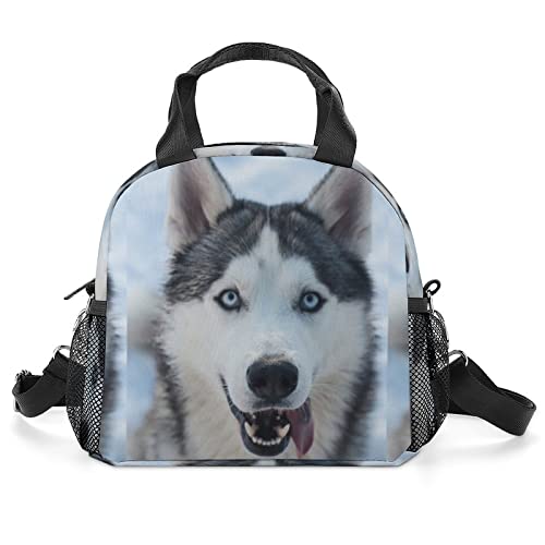 LafalPer Bolsa Almuerzo para Niños y Adulto Moda Impermeable con Correa de Hombro para Escuela Trabajo Viaje perros esquimales