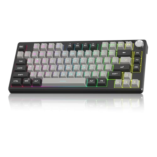 MageGee Mini 60%�Q�[�~���O�L�[�{�[�h RGB�o�b�N���C�g75�L�[ ���R���p�N�g�L�[�{�[�h TS75�l�ԍH�w�I�h�� �@�B�I���o �I�t�B�X�R���s���[�^�L�[�{�[�h PC�AMAC�APS4�AXbox ONE�Q�[�}�[�p