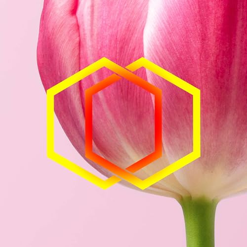 The Parish News #259