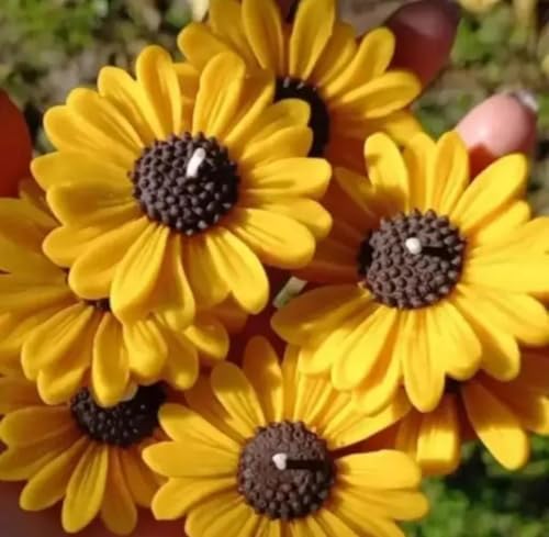 Decorative Sunflower Scented Candles, Yellow Floral Design with Dark Brown Centre, Home Decor Collection, Pack of 6