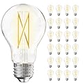 TJOY 24 Pack A19 Vintage LED Edison Bulbs, Dimmable, 60W Equivalent, High Brightness 2700K Warm White, 7W E26 Standard Base, 800 Lumens, CRI80+, Clear Glass Filament Bulb for Home, Farmhouse