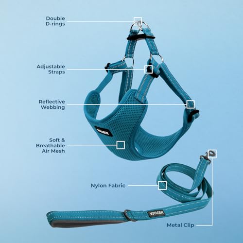 Image of Best Pet Supplies Voyager Adjustable Step-in Flex Breathable Mesh Dog Harness for Small Medium Large Dogs Leash Set (Turquoise), XL