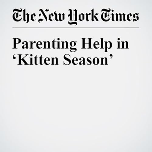 Parenting Help in &lsquo;Kitten Season&rsquo; cover art