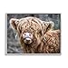 Stupell Industries BaBy Highland Calf Cattle Licking Lips Country Farmland Framed Wall Art, Design By James Dobson