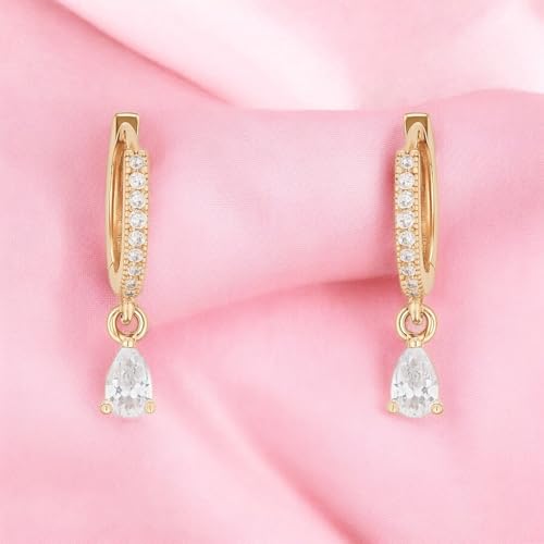 Image of NIlu's Collection Hoop Earrings Foe Women | Anti-Allergy | Anti-Tarnish | Office Wear