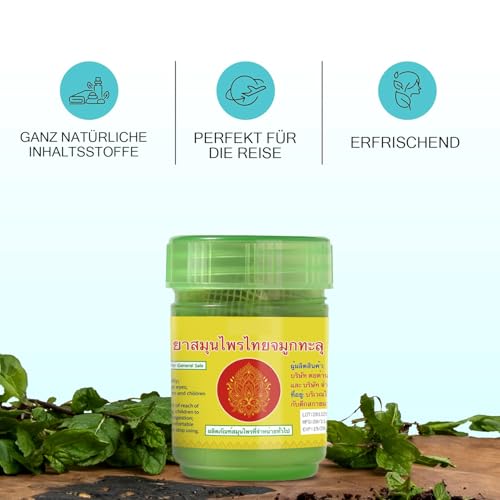 Compound Thai-Kräuter-Inhalator,Herbal Aroma Set,100% Natürlich,10 g (3)