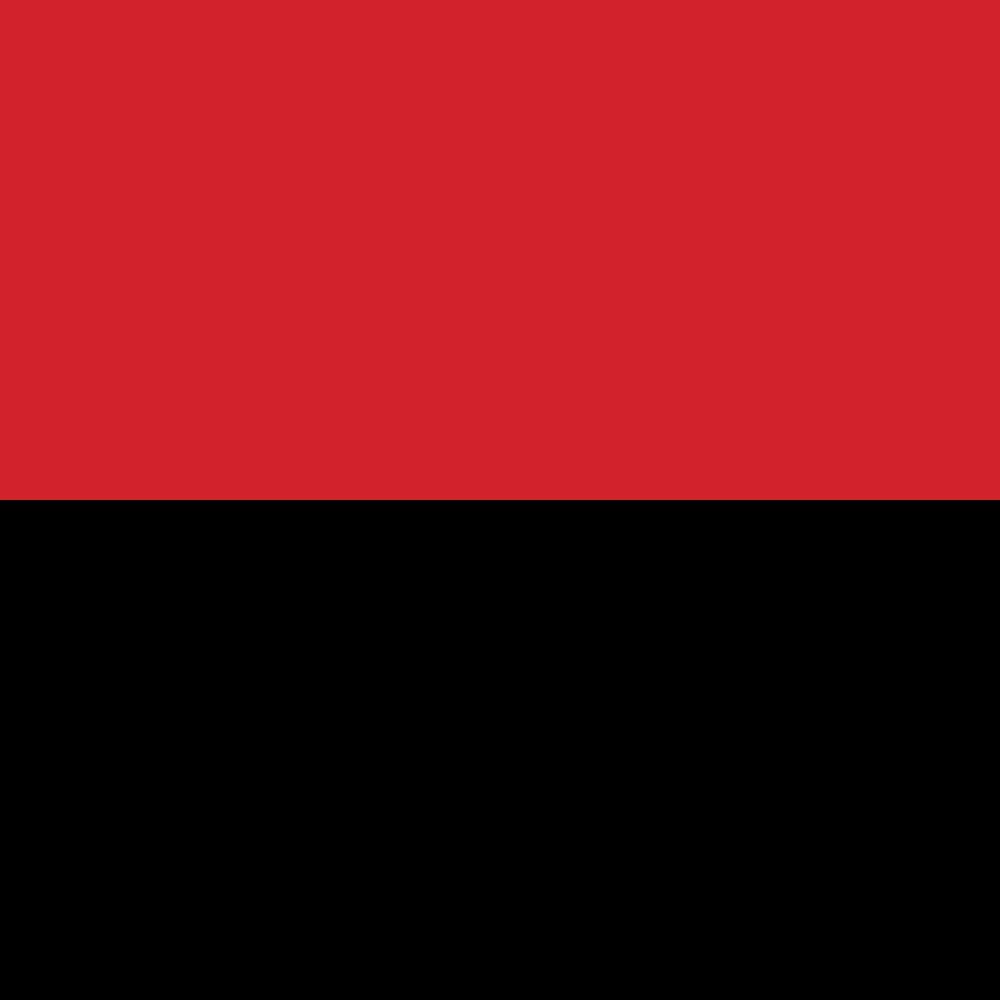 Drapeau de Berne historique du 15e siècle grand modèle pour salle d'armes